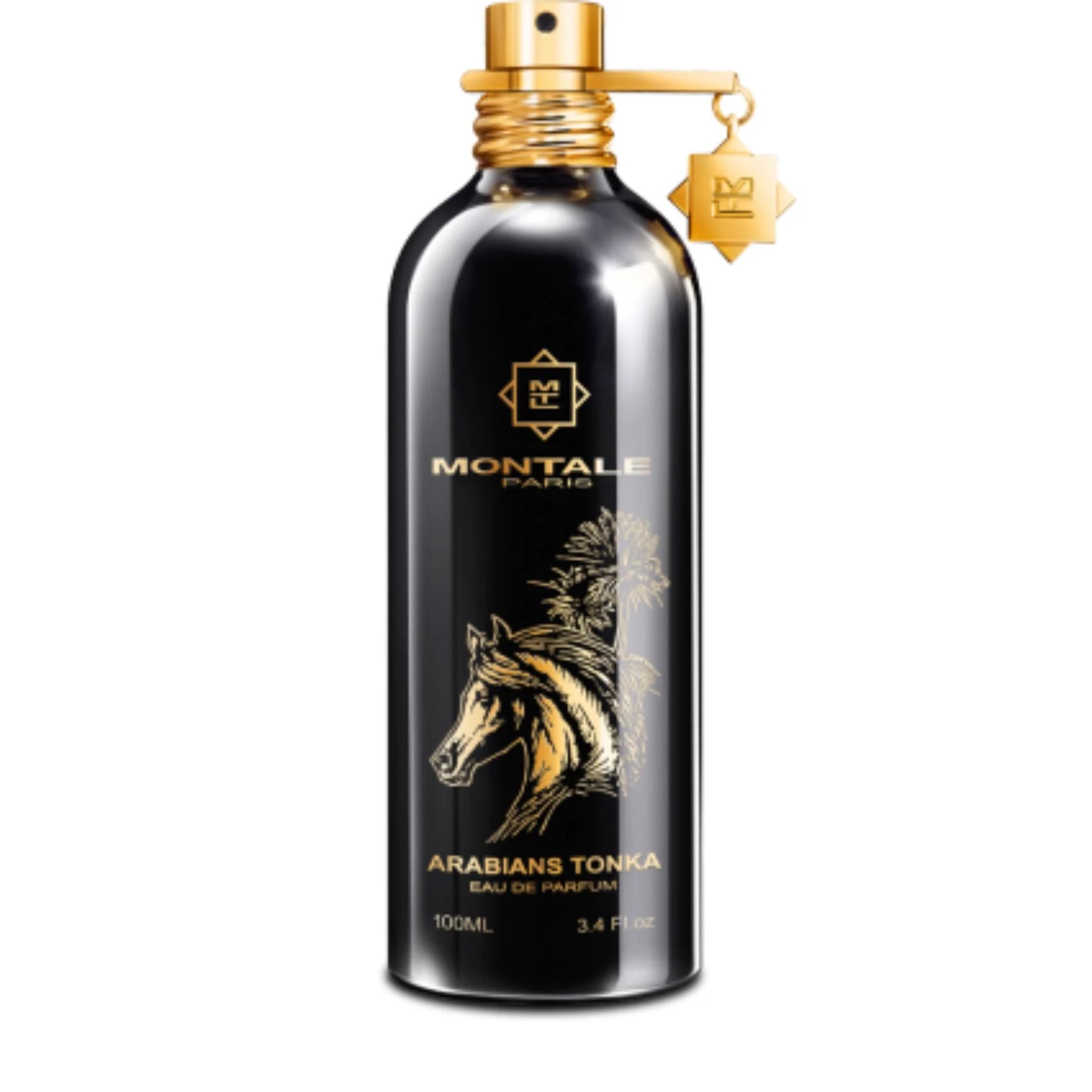 PERFUME MONTALE PARIS ARABIANS TONKA 100ML EDP ORIGINAL