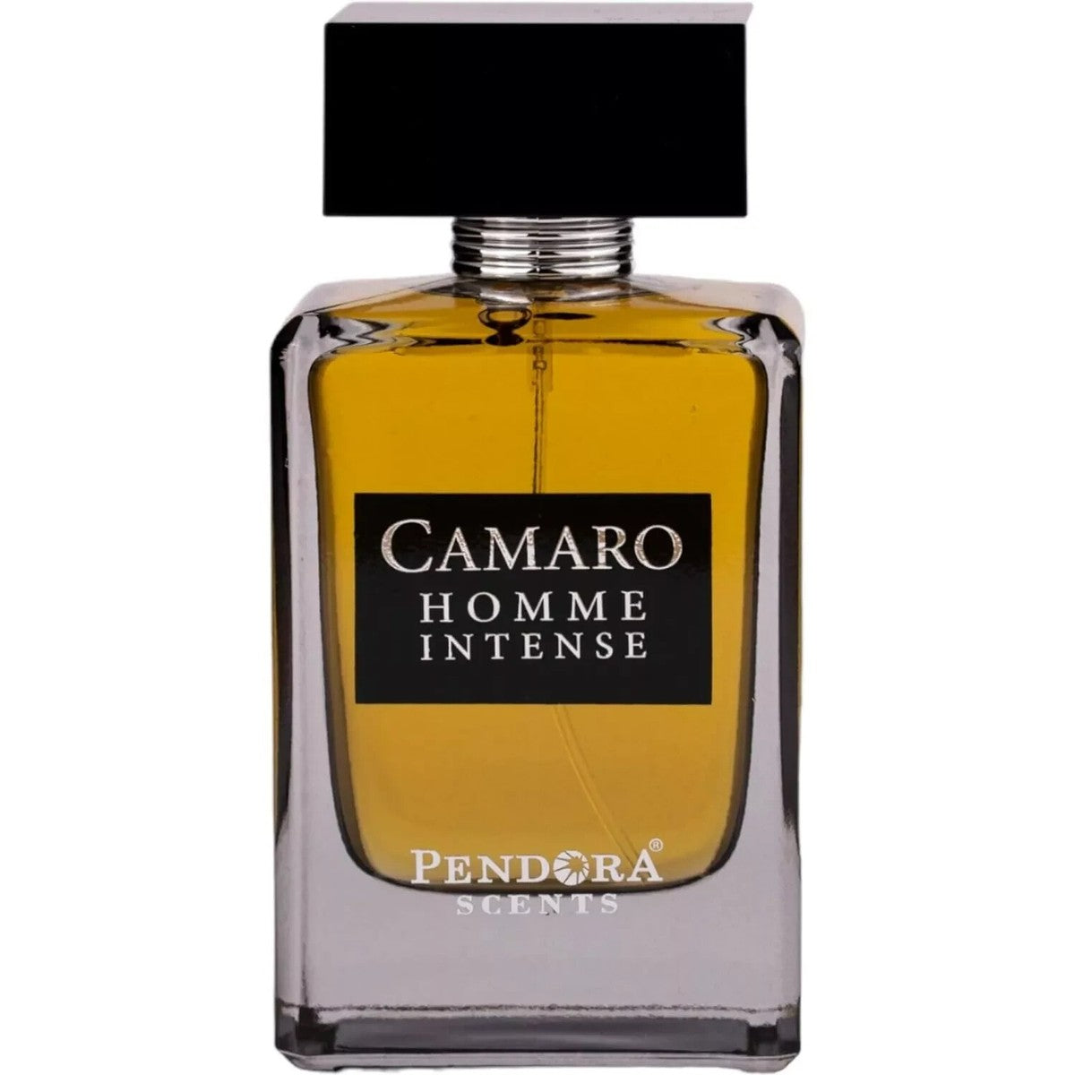 PERFUME PARIS CORNER CAMARO HOMME INTENSE 100ML EDP ORIGINAL